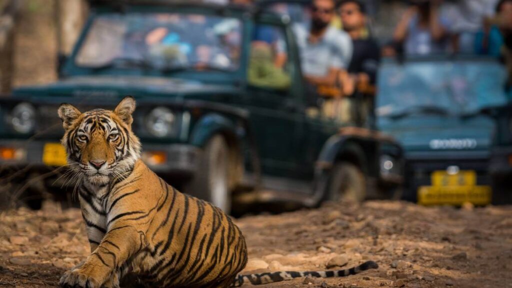 Golden-Triangle-With-Ranthambore-Tour